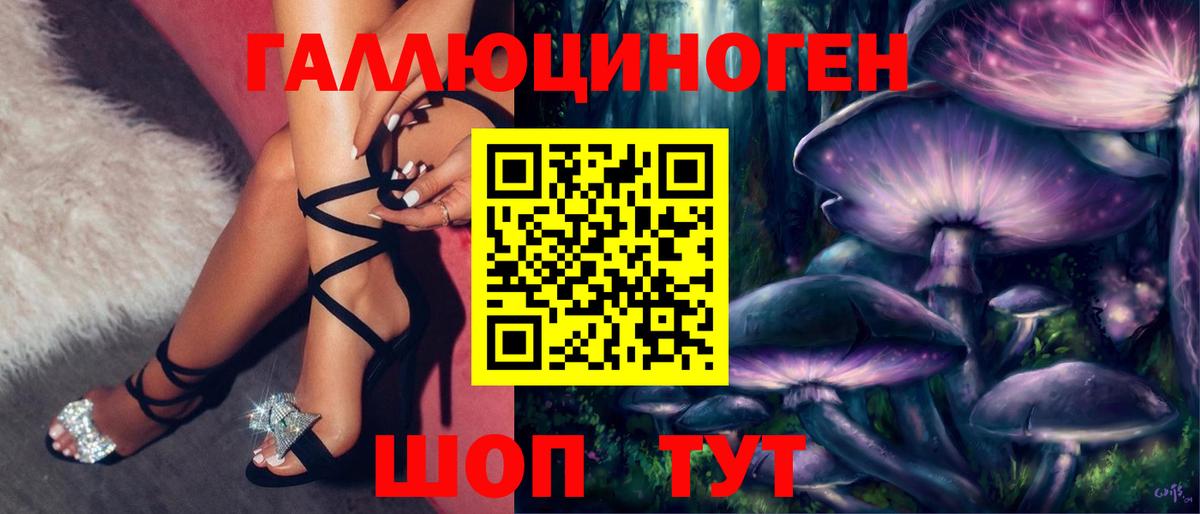 Губкин  Галлюциногенные грибы Cubensis  Вход с VPN 