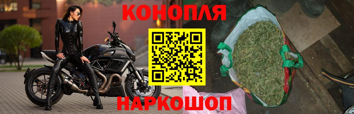 Губкин  Канабис тримм  Шишки марихуана планчик  Вход с VPN 